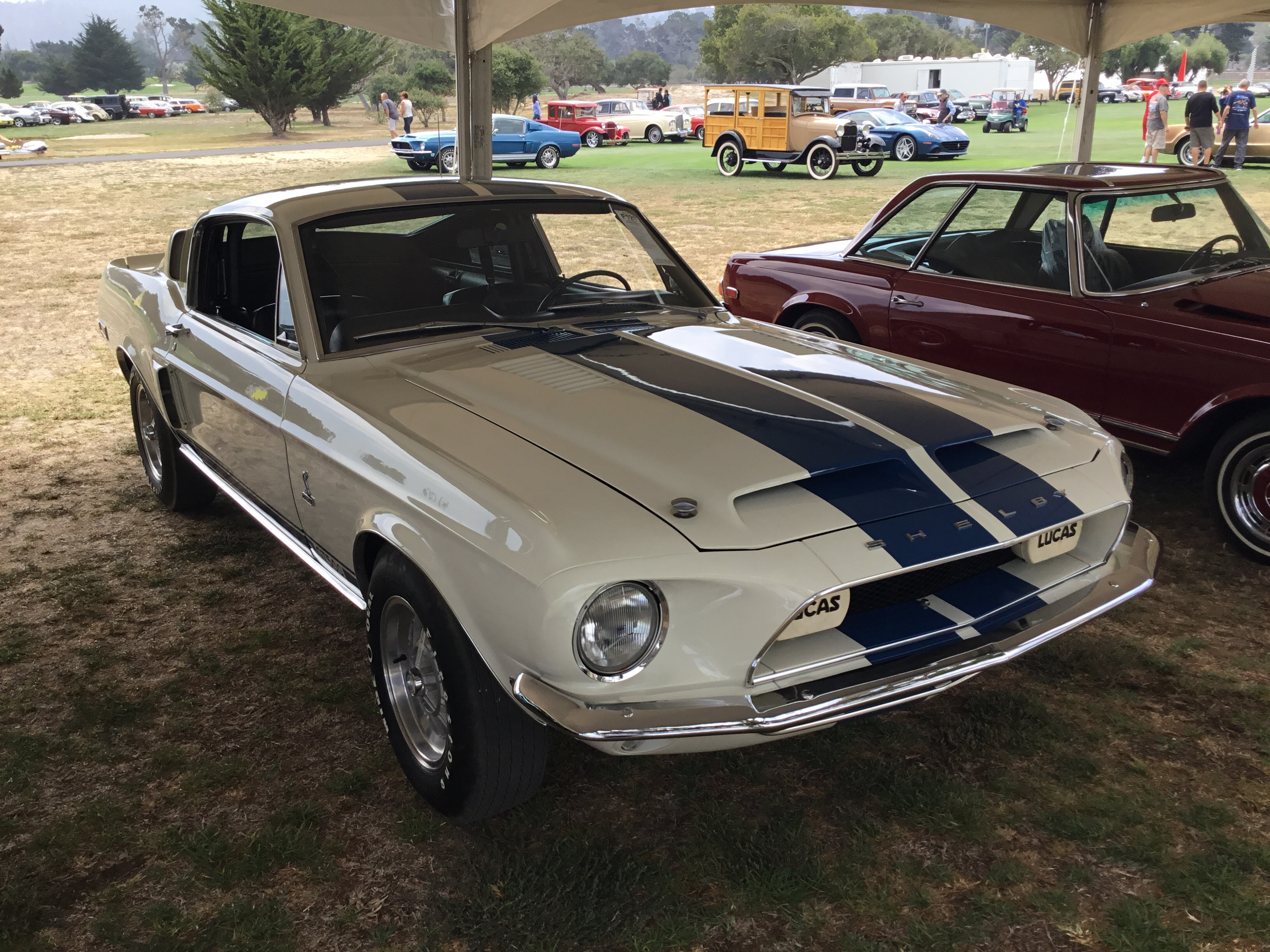 1968 Shelby Gt500 Values Hagerty Valuation Tool